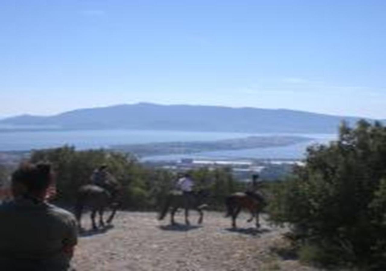 Orbetello Appartamento accogliente con parcheggio gratuito Esterno foto