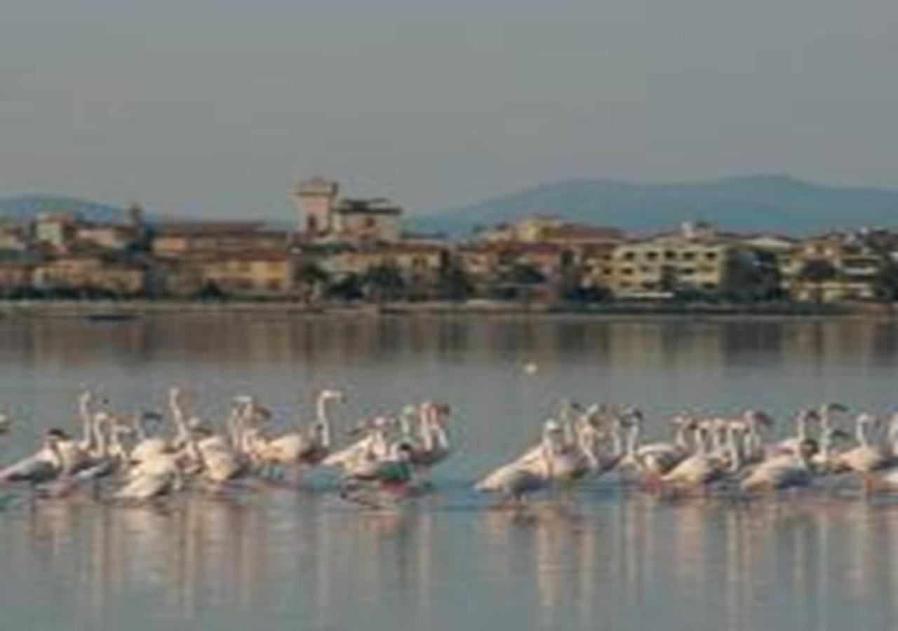 Orbetello Appartamento accogliente con parcheggio gratuito Esterno foto